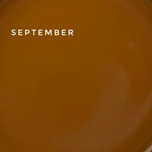 TOUCH Cover Base September, 13 ml